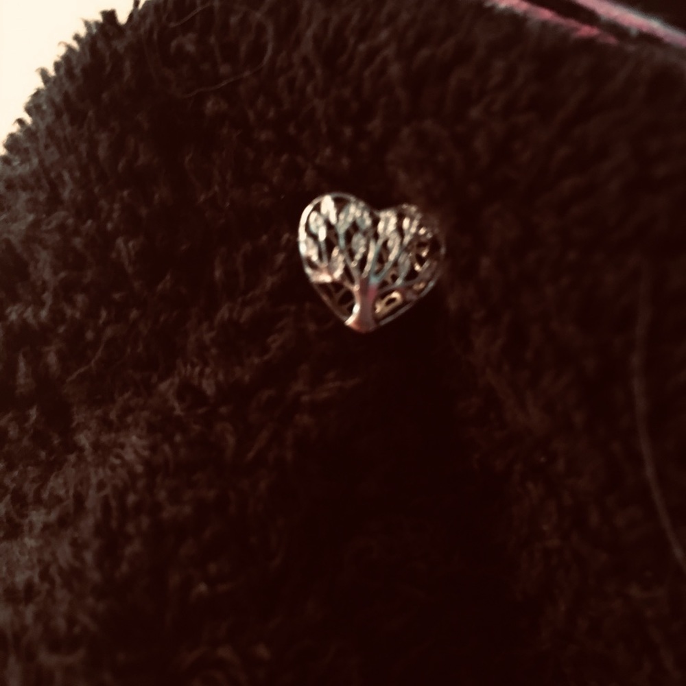 Sterling silver Pandora charm
